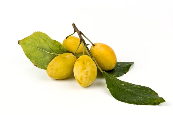 stock image Yellow plums