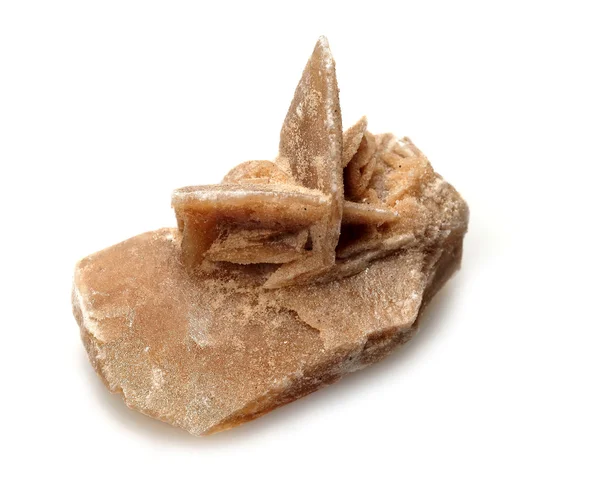 Mineral a desert rose. — Stock Photo, Image