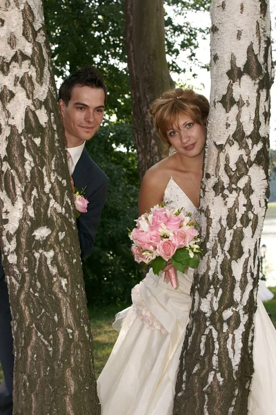 Glücklicher Bräutigam und die Braut bei Birken — Stockfoto