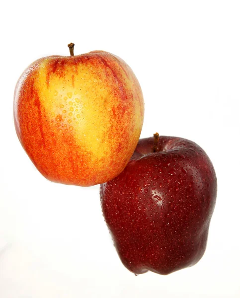 Dvě mokré jablka — Stock fotografie
