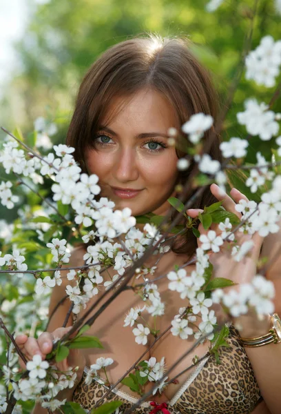 A menina em um jardim de cereja — Fotografia de Stock