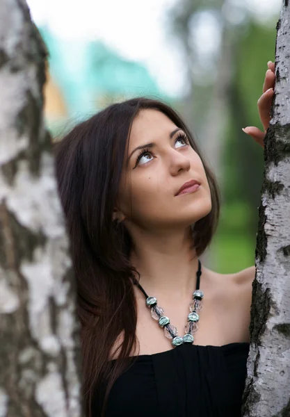 Das schöne Mädchen bei den Birken — Stockfoto
