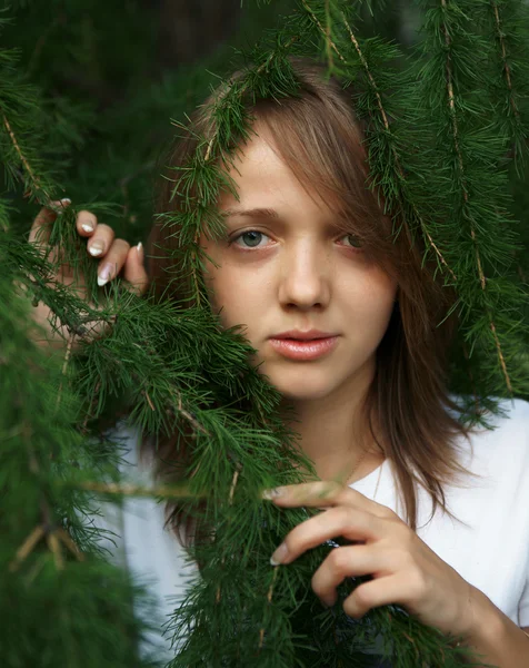 蓬松毛皮树的分支中的女孩 — 图库照片