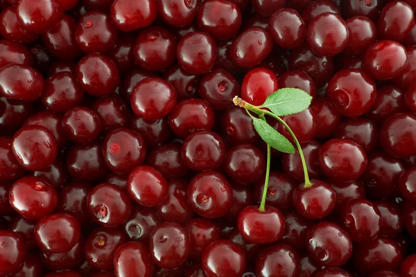 Red Cherries background — Stock Photo, Image
