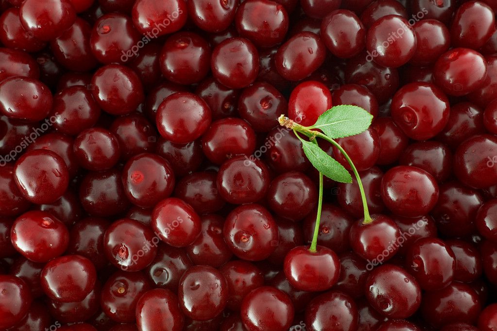 Red Cherries background Stock Photo by ©VaakaF 2734634