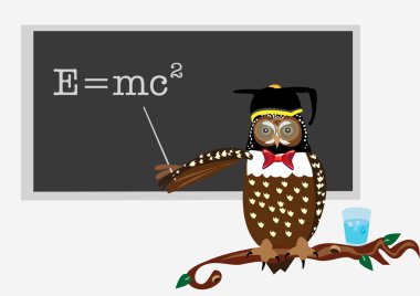 Owl's class clipart