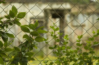 Metal fense