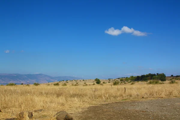 stock image Blue sky field 2