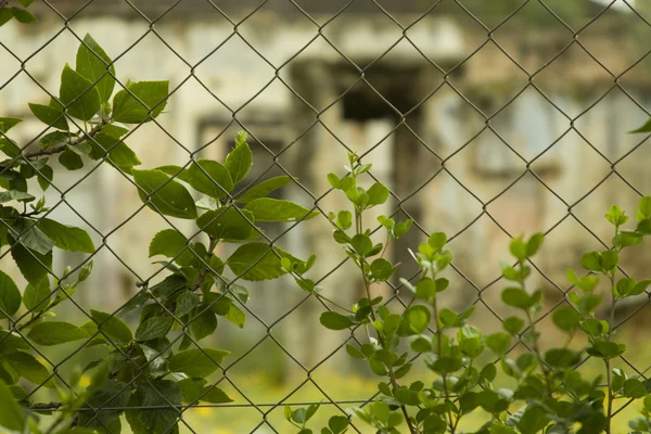 stock image Metal fense