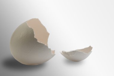 Broken egg shell