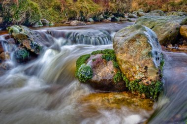 Rockpool