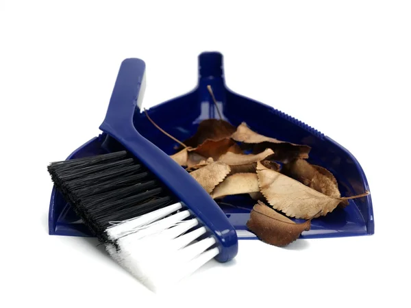 Stock image Dustpan