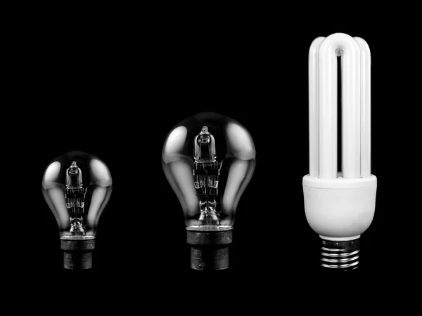 전구를 절약하는 에너지 — 스톡 사진