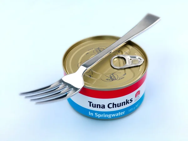 stock image Generic Canned Tuna