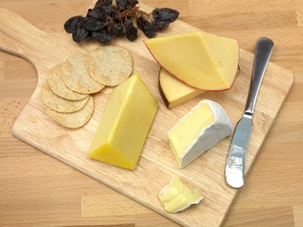 치즈 보드 — 스톡 사진