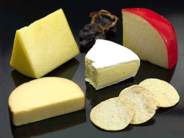 Вибір сиру — стокове фото