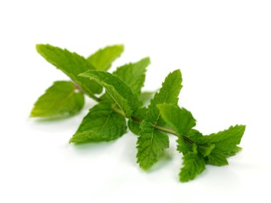 Mint Leaves clipart