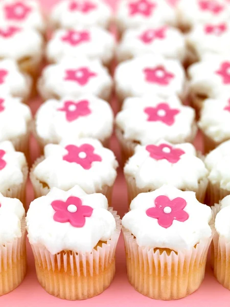 Cup Cakes — Stockfoto