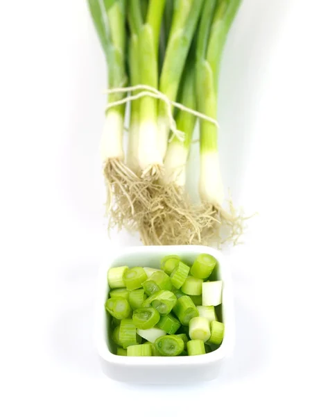 Зелена цибуля — стокове фото