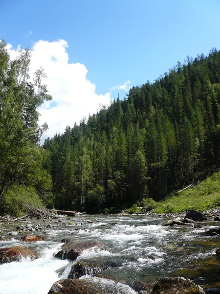 Dağ Nehri