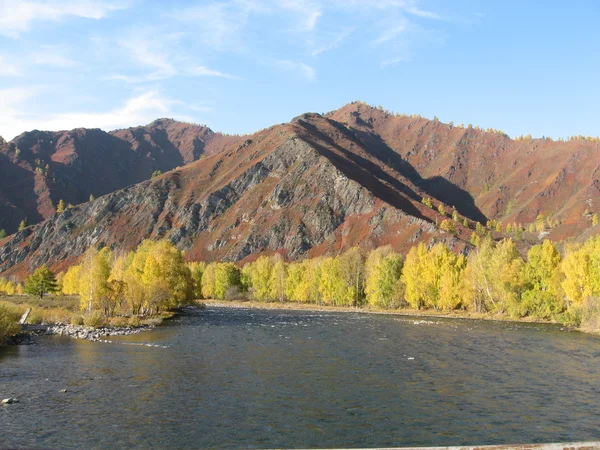 Dağ Nehri