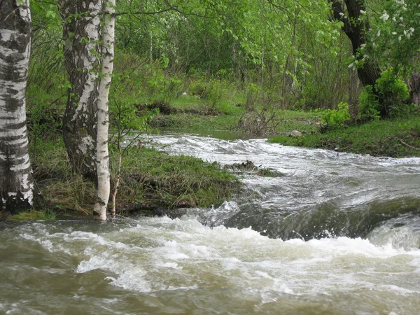 Весенние реки Лицензионные Стоковые Изображения