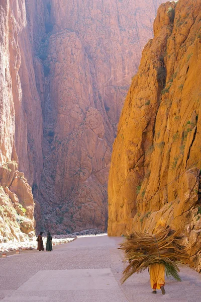 Stock image Todra valley