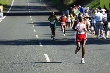 Yoldaşlar Maratonu 2010