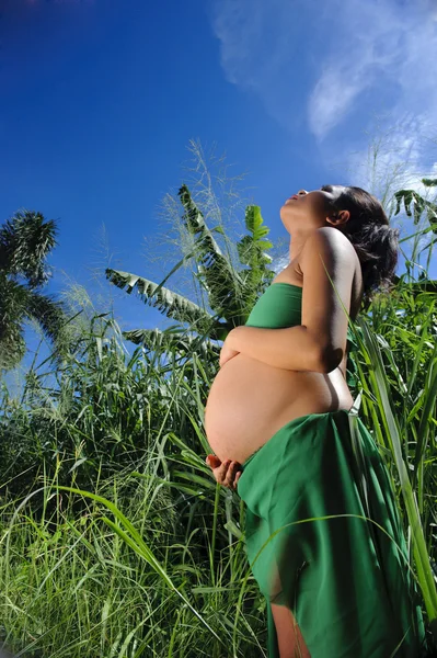 Sommerschwangerschaft — Stockfoto