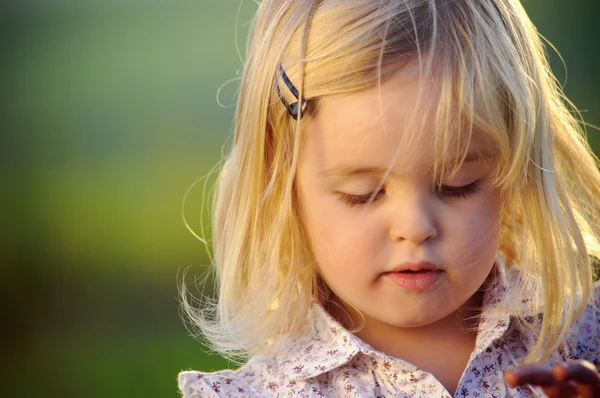 Mooi portret van een klein meisje — Stockfoto