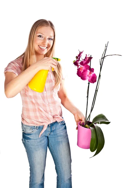 Frau gießt Orchideenblumen — Stockfoto