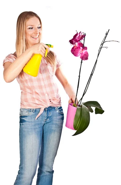 Femme arrosage fleurs d'orchidée — Photo