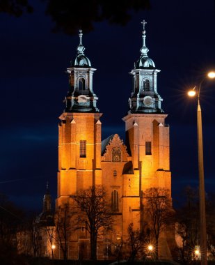 Gniezno Cathedral clipart