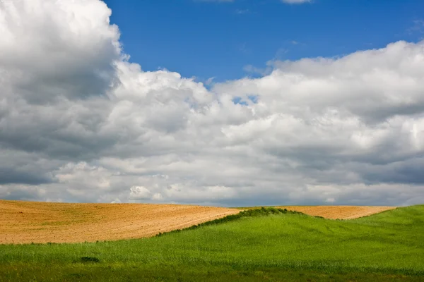 Country field landscape — Stock Photo, Image