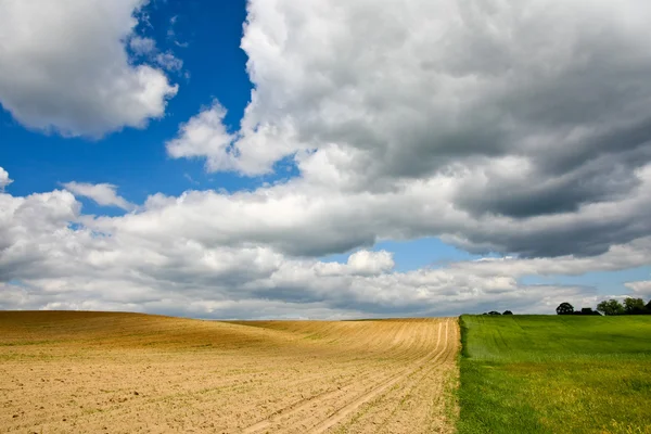 Country field landscape — Stock Photo, Image