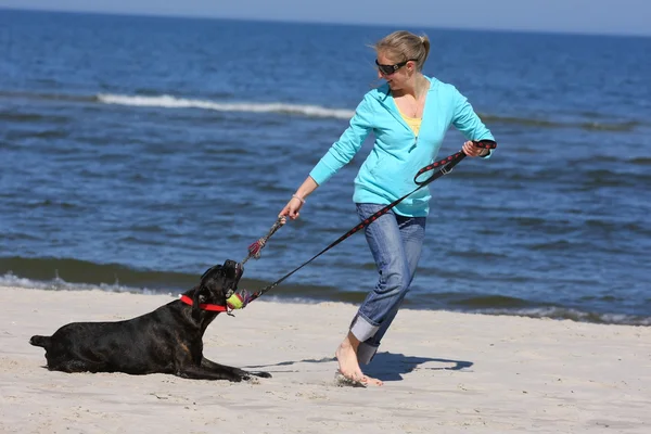 Kızla köpek sahilde — Stok fotoğraf