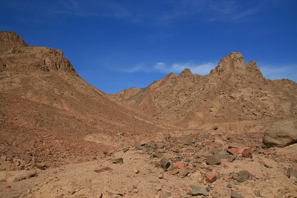 Egipskiej pustyni — Zdjęcie stockowe