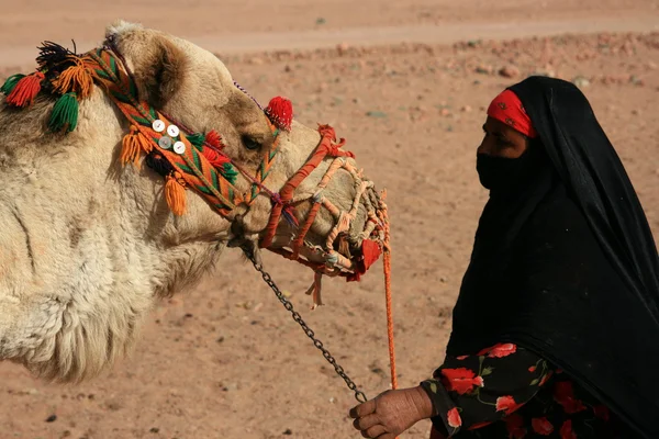 Бедуинская женщина с верблюдом — стоковое фото