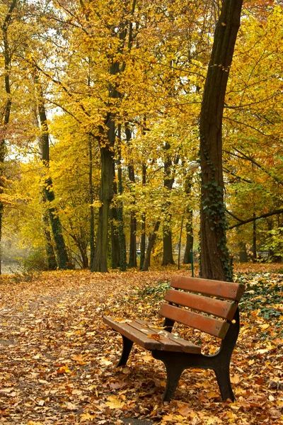 Осенний парк Стоковое Фото