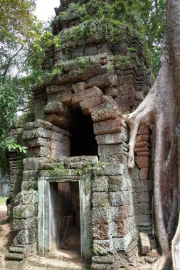 Angkor tapınakları