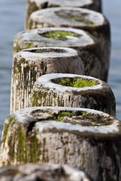 stock image Breakwater