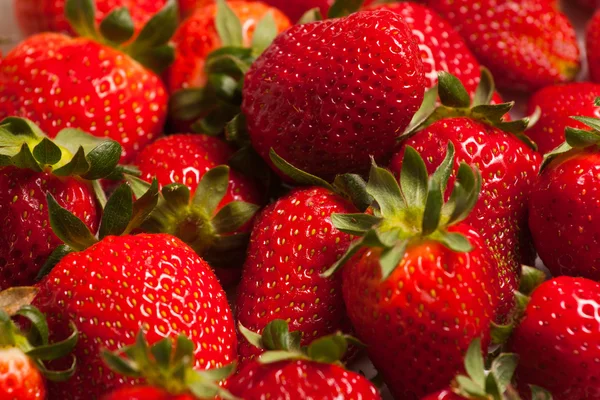 Strawberries in studio — Stock Photo, Image