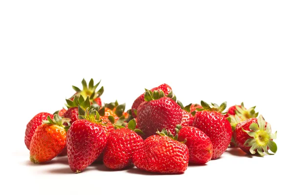 스튜디오 딸기 — 스톡 사진