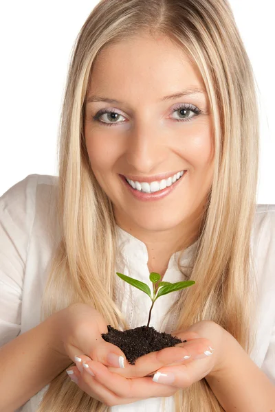 Plantera i kvinna händer — Stockfoto