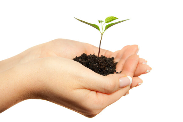 Завод в руках
