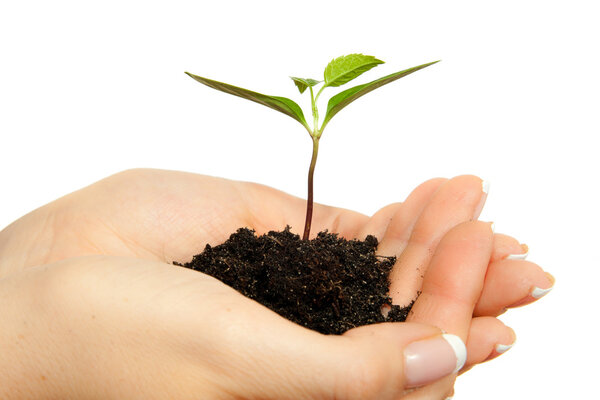 Завод в руках
