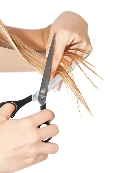 Woman cutting hair — Stock Photo, Image