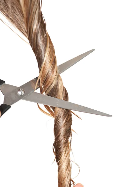 Kadın kesim saç — Stok fotoğraf