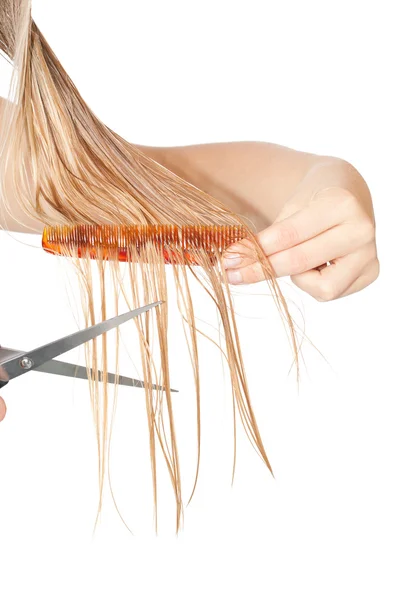 Kadın kesim saç — Stok fotoğraf