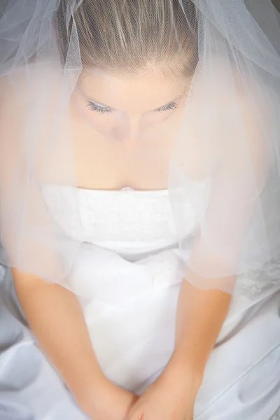 Novia posando en vestido de novia y velo —  Fotos de Stock